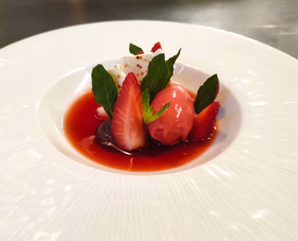 ccd9b4_73e58ba6c4674f9eb400bb8ebdf55eb9~mv2